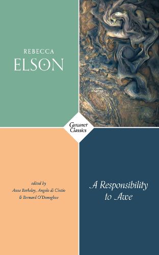 Cover image for A Responsibility to Awe