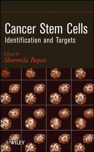 Cover image for Cancer Stem Cells: Identification and Targets