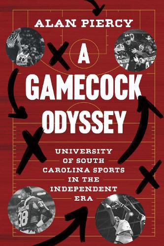 Cover image for A Gamecock Odyssey