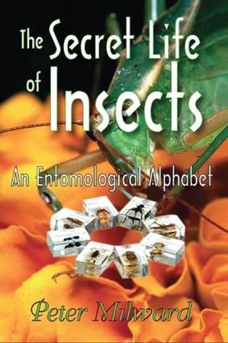 Cover image for The Secret Life of Insects: An Entomological Alphabet