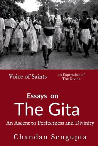 Cover image for Essays on Gita