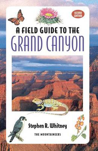 Cover image for A Field Guide to the Grand Canyon