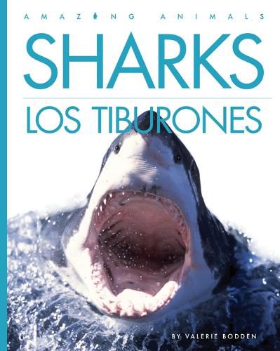 Cover image for Sharks / Los Tiburones
