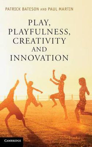 Cover image for Play, Playfulness, Creativity and Innovation