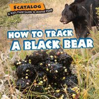 Cover image for How to Track a Black Bear