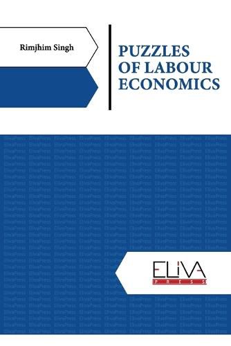 Cover image for Puzzles of Labour Economics