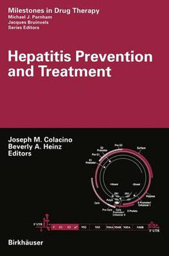 Cover image for Hepatitis Prevention and Treatment
