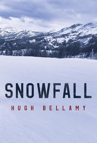 Cover image for Snowfall