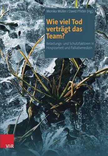 Cover image for Wie viel Tod vertragt das Team?: Belastungs- und Schutzfaktoren in Hospizarbeit und Palliativmedizin
