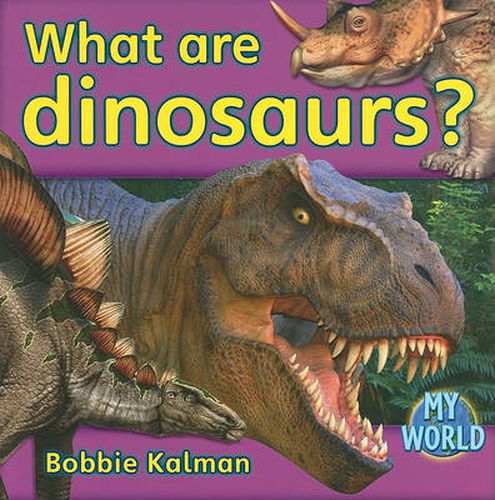 Cover image for What are dinosaurs?