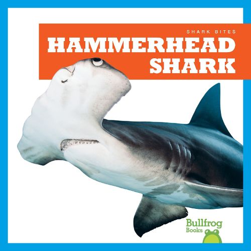 Cover image for Hammerhead Shark