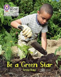 Cover image for Be a Green Star: Phase 4 Set 2 Stretch and Challenge