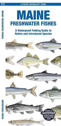 Cover image for Maine Freshwater Fishes