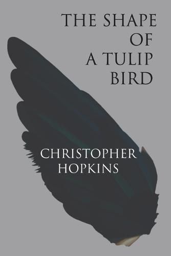 Cover image for The Shape of a Tulip Bird