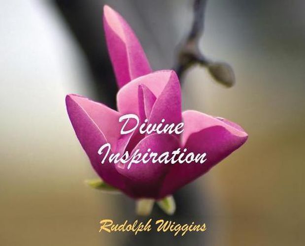 Cover image for Divine Inspiration