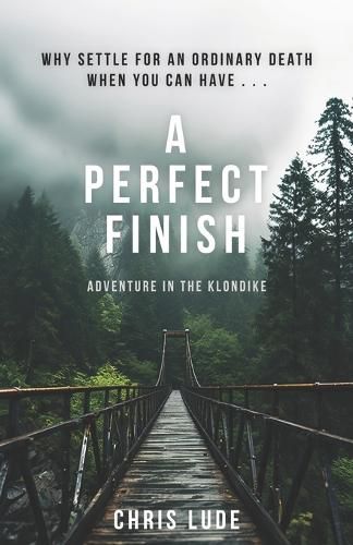 Cover image for A Perfect Finish