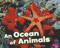 Cover image for An Ocean of Animals (Habitats Around the World)