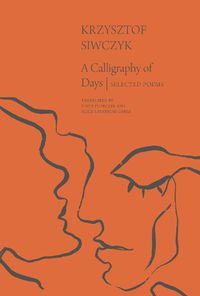 Cover image for A Calligraphy of Days