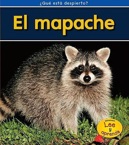 Cover image for El Mapache