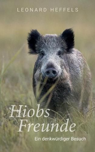 Cover image for Hiobs Freunde: Ein denkwurdiger Besuch