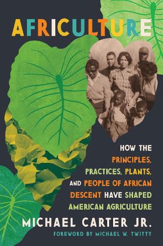 Cover image for Africulture