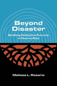 Cover image for Beyond Disaster