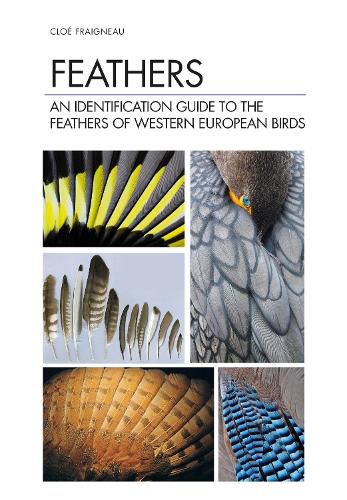 Cover image for Feathers: An Identification Guide to the Feathers of Western European Birds