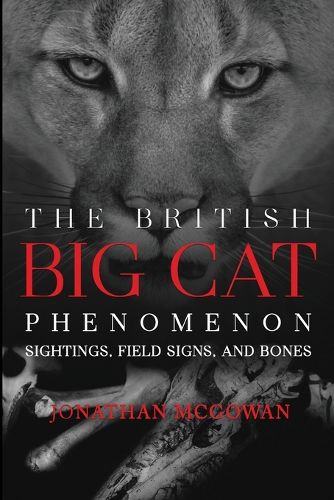 Cover image for The British Big Cat Phenomenon