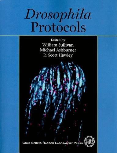 Cover image for Drosophila Protocols