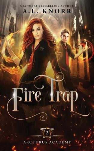 Cover image for Fire Trap: A Young Adult Fantasy