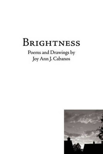 Cover image for Brightness