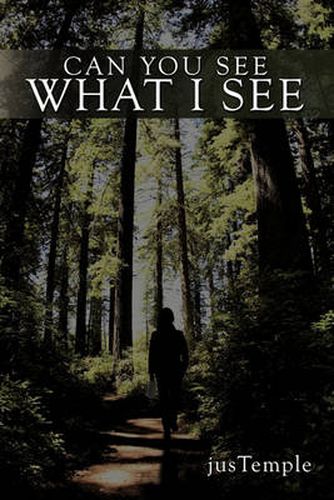 Cover image for Can You See What I See