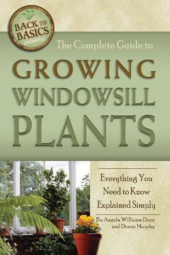 Complete Guide to Growing Windowsill Plants: Everything You Need to Know Explained Simply