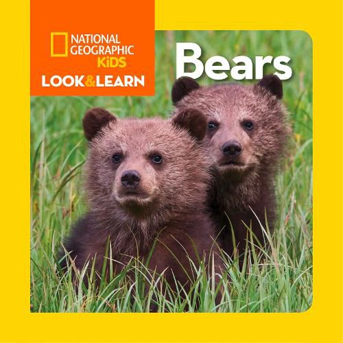 Cover image for Look and Learn: Bears