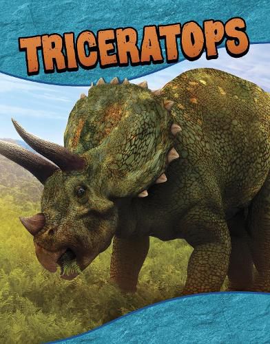 Cover image for Triceratops