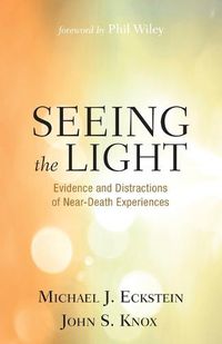 Cover image for Seeing the Light