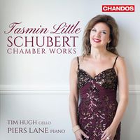 Cover image for Schubert: Chamber Works