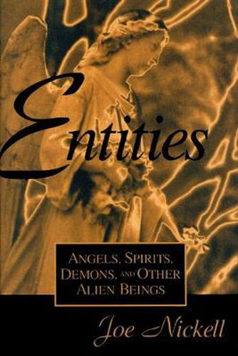 Cover image for Entities