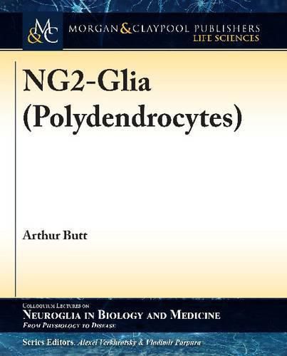 Cover image for NG2-Glia (Polydendrocytes)