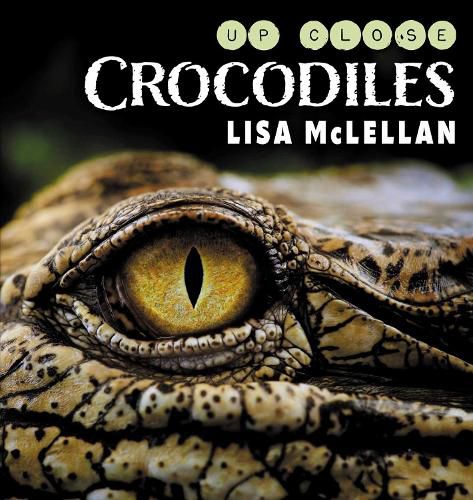 Cover image for Crocodiles Close Up