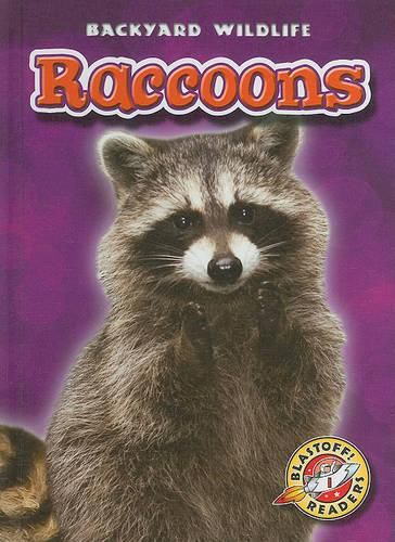 Cover image for Raccoons