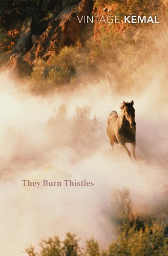 Cover image for They Burn Thistles