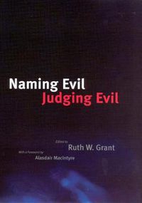 Cover image for Naming Evil, Judging Evil