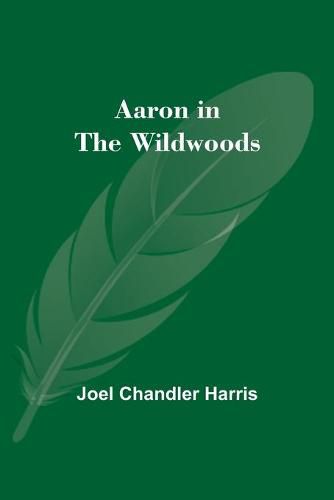 Cover image for Aaron in the Wildwoods