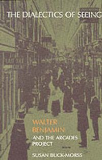 Cover image for The Dialectics of Seeing: Walter Benjamin and the Arcades Project