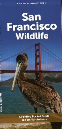 Cover image for San Francisco Wildlife: A Folding Pocket Guide to Familiar Animals