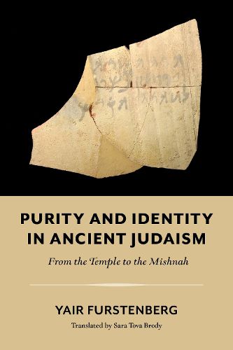 Cover image for Purity and Identity in Ancient Judaism - From the Temple to the Mishnah