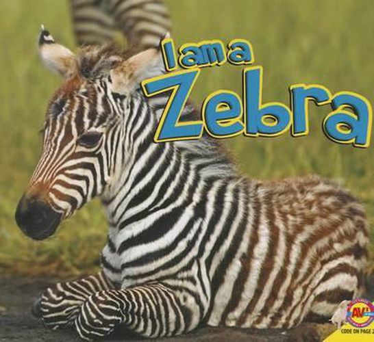 Cover image for Zebra