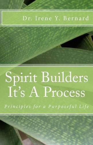 Cover image for Spirit Builders: : It' s A Process