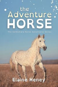 Cover image for The Adventure Horse - Dyslexia Friendly